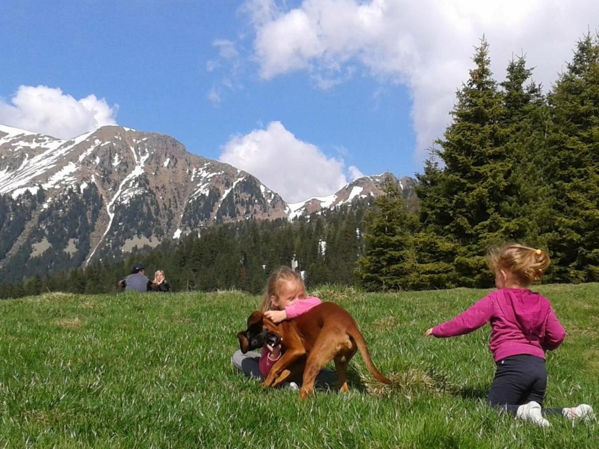 B&B Relais Dolomiti Bedollo Εξωτερικό φωτογραφία